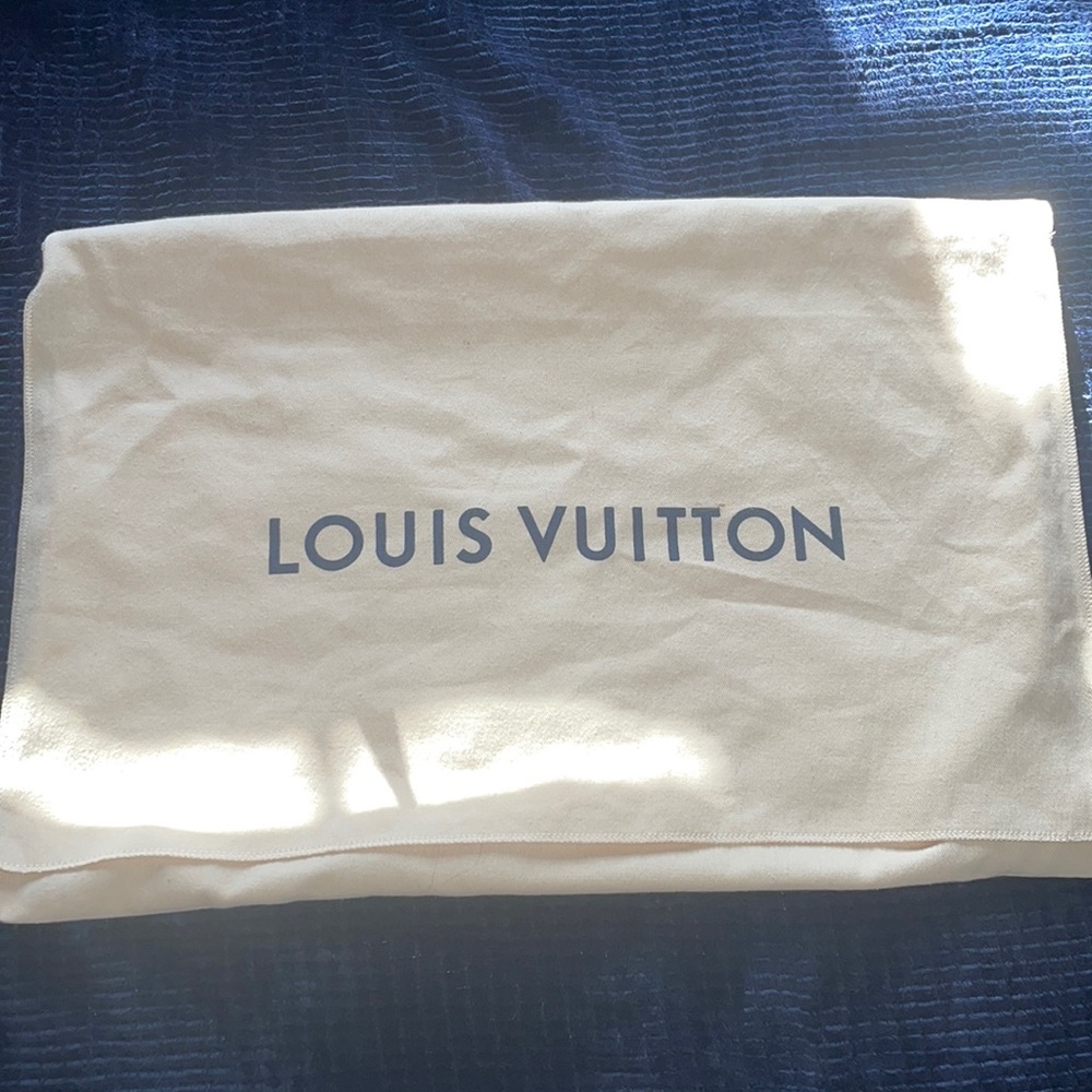 Large LV dustbag